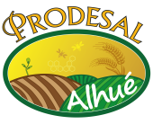 Prodesal_